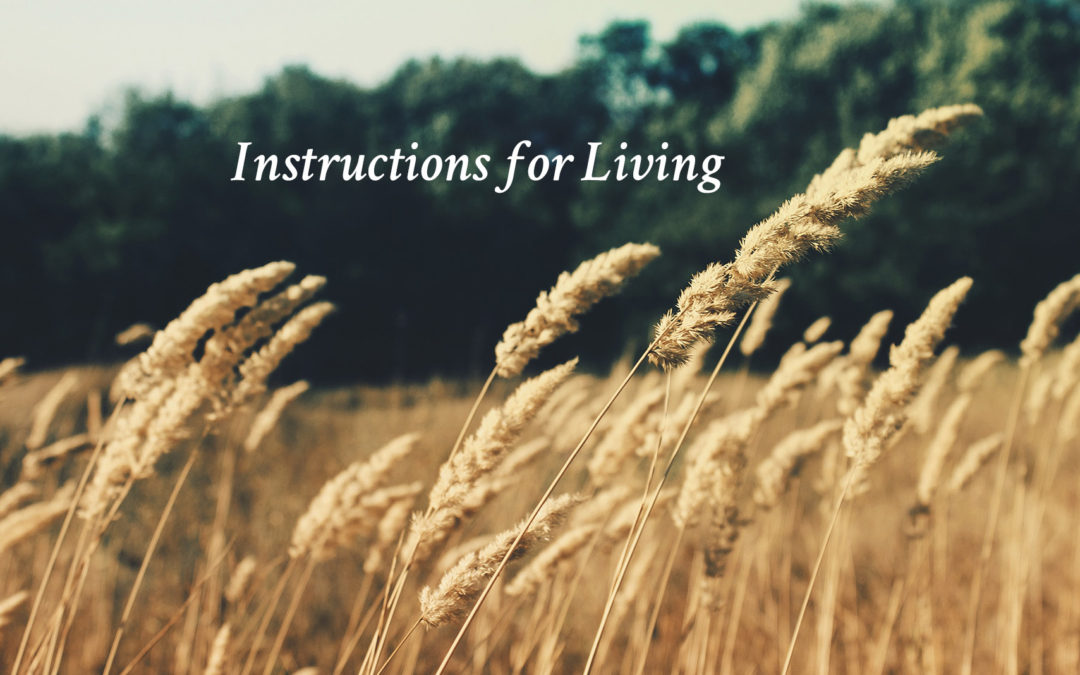 Instructiosns for Living